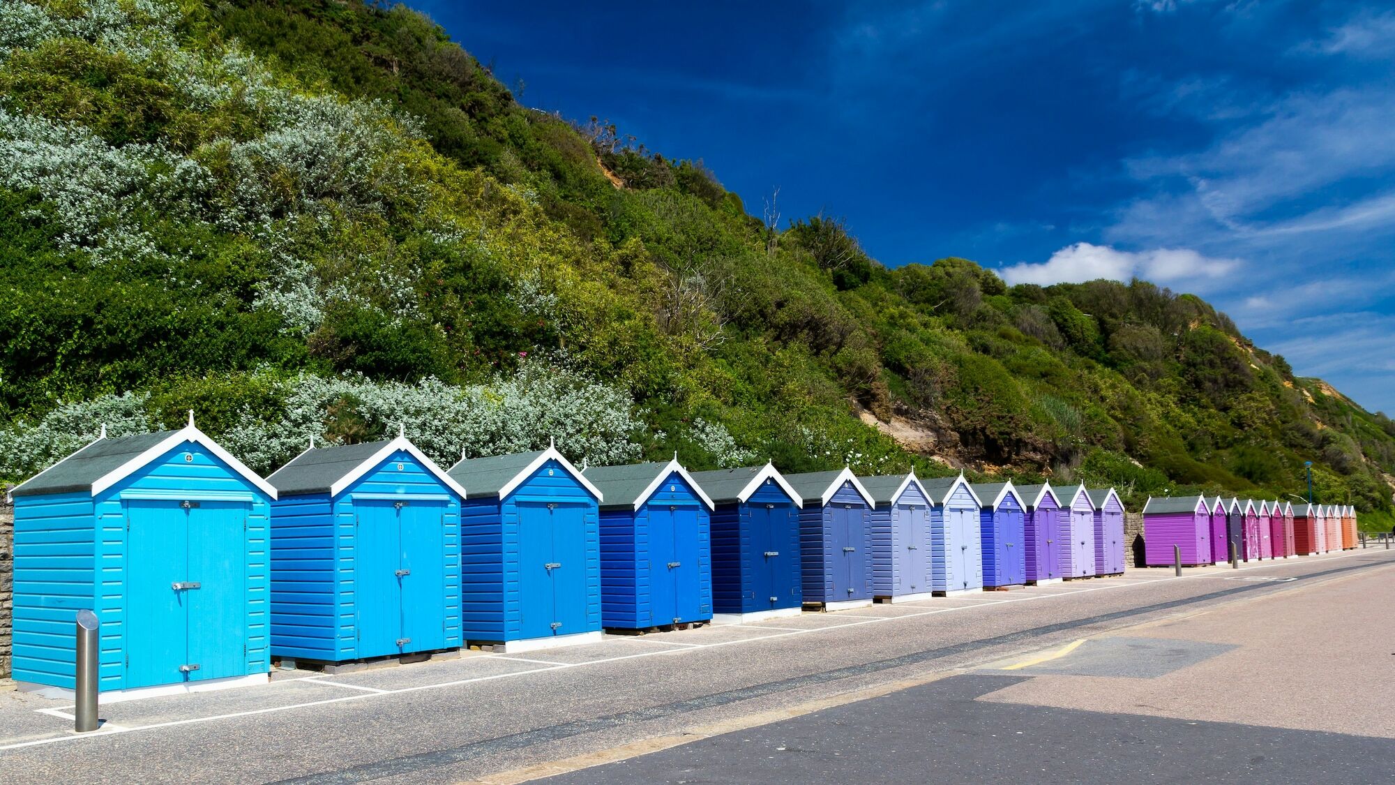 Pinewood Lodge Canford Cliffs Dış mekan fotoğraf